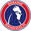 Dorking Wanderers