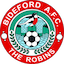 Bideford AFC